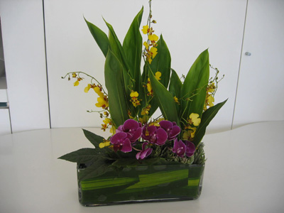 �Ƶ껨�����