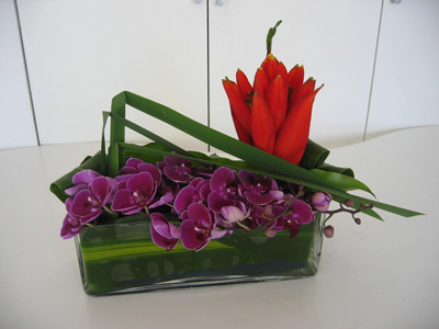 �Ƶ껨�����