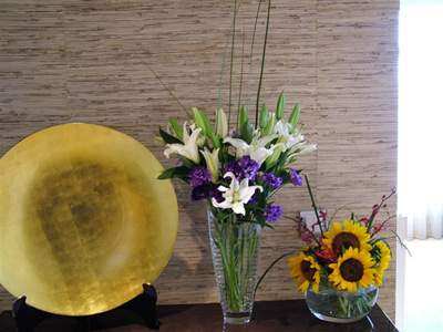 �Ƶ껨�����