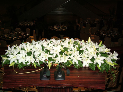 �Ƶ껨�����