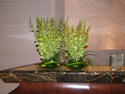 �Ƶ껨�����