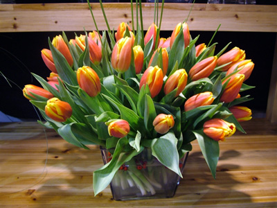 �Ƶ껨�����