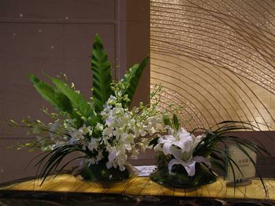 �Ƶ껨�����