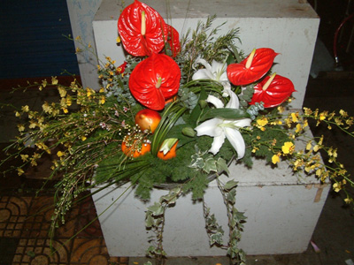 �Ƶ껨�����