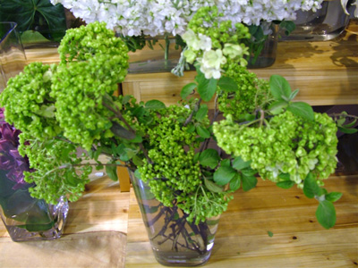 �Ƶ껨�����