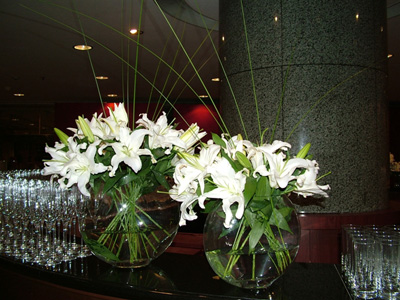 �Ƶ껨�����