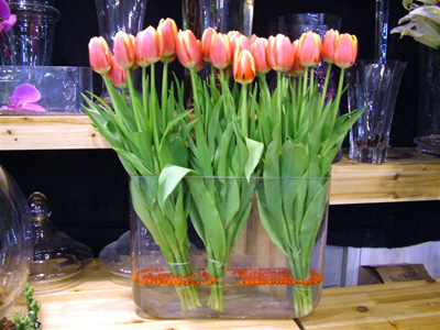 �Ƶ껨�����