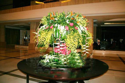 �Ƶ껨�����