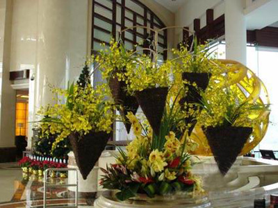 �Ƶ껨�����