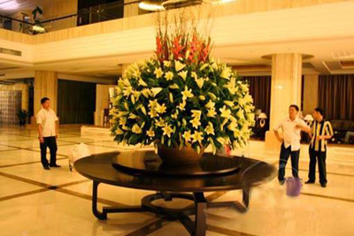 �Ƶ껨�����