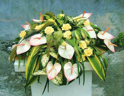 �Ƶ껨�����