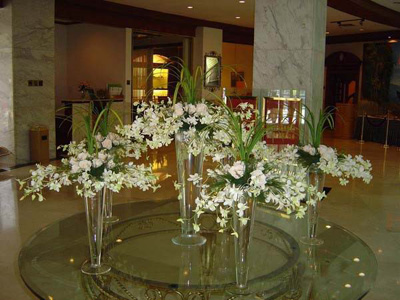 �Ƶ껨�����