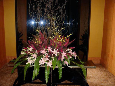 �Ƶ껨�����