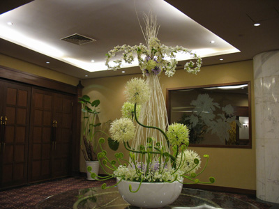 �Ƶ껨�����