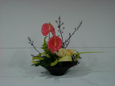 �Ƶ껨�����