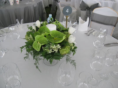 �Ƶ껨�����