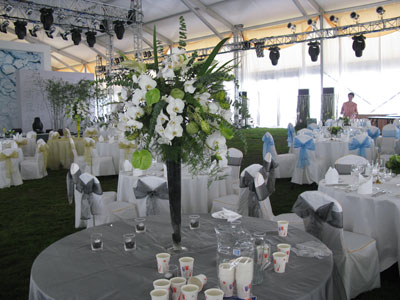 �Ƶ껨�����