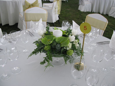 �Ƶ껨�����