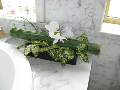 �Ƶ껨�����