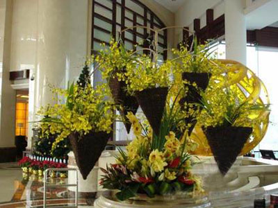 �Ƶ껨�����