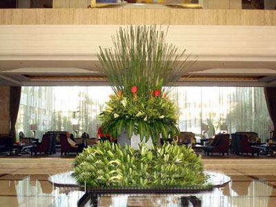 �Ƶ껨�����