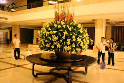 �Ƶ껨�����