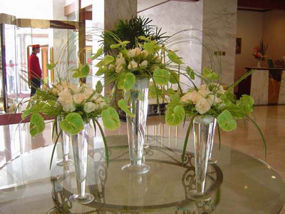 �Ƶ껨�����