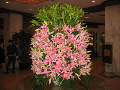 �Ƶ껨�����