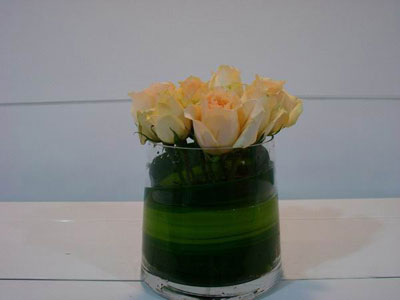 �Ƶ껨�����