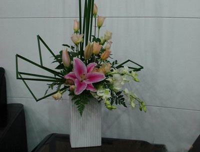 �Ƶ껨�����