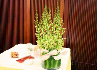 �Ƶ껨�����