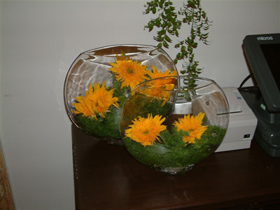 �Ƶ껨�����