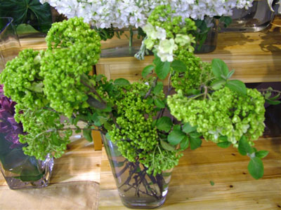 �Ƶ껨�����