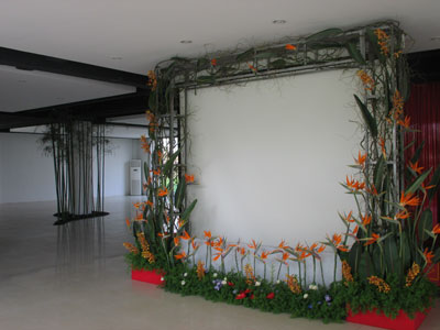 �Ƶ껨�����