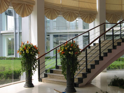 �Ƶ껨�����