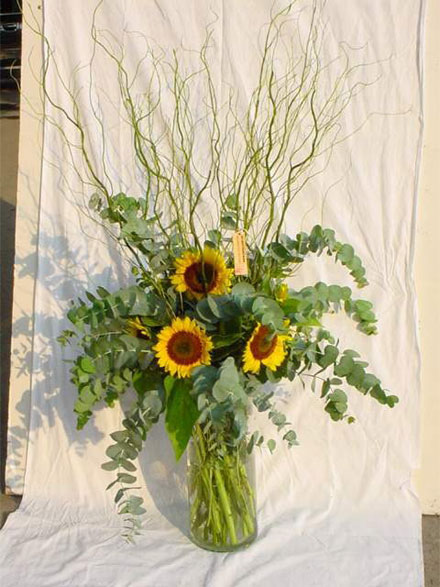 �Ƶ껨�����