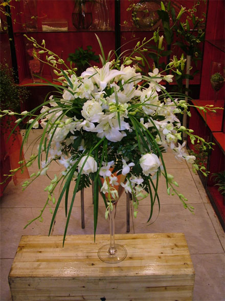 �Ƶ껨�����