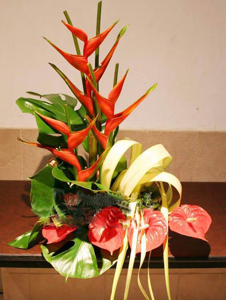 �Ƶ껨�����