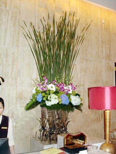 �Ƶ껨�����