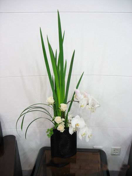 �Ƶ껨�����