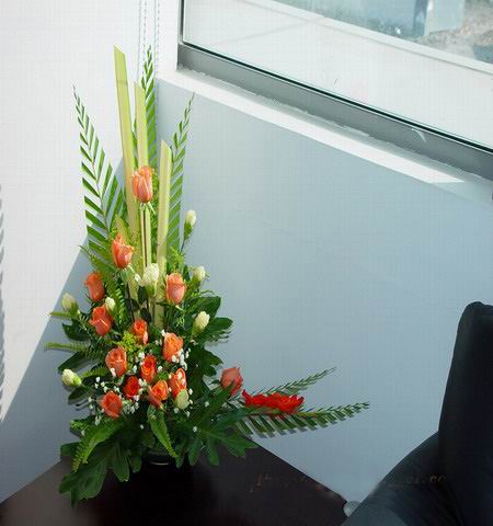 �Ƶ껨�����