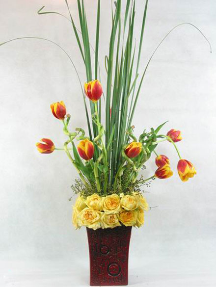 �Ƶ껨�����