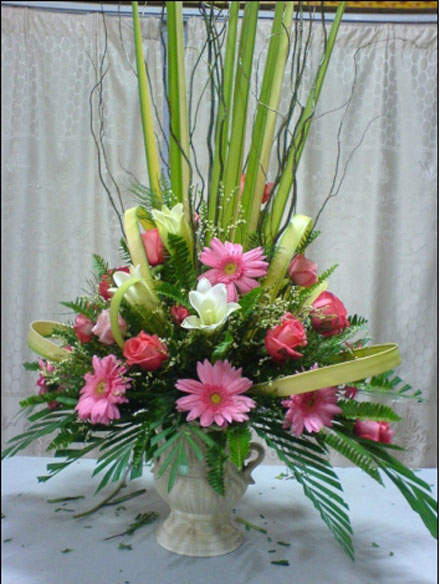 �Ƶ껨�����