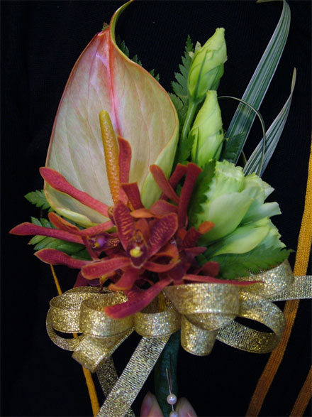 �Ƶ껨�����