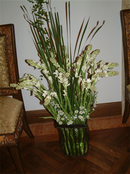 �Ƶ껨�����