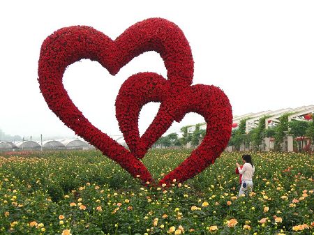 �����װ��