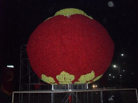 �����װ��