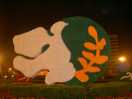 �����װ��