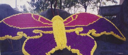 �����װ��